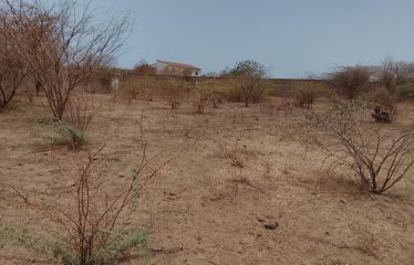 YENNE : Terrain à vendre à Yénne