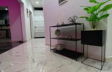 SALY : Maison meublée à vendre 4 chambres