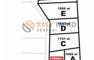 NGUERIGNE : Lot de 6 terrains à vendre à Nguerigne