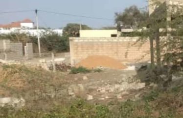SOMONE : Terrain 300 m2 à vendre proche école française