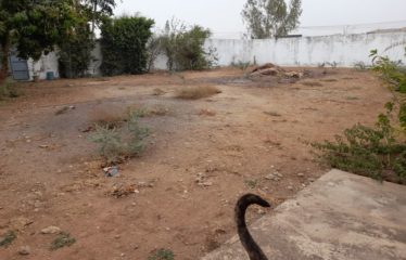 NGUERIGNE : Terrain clôturé de 600 m2 à vendre