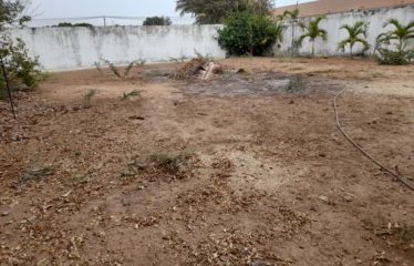 NGUERIGNE : Terrain clôturé de 600 m2 à vendre