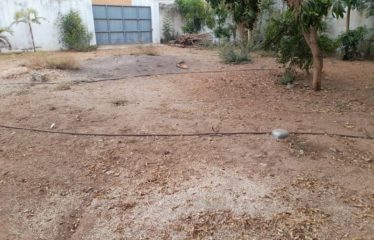NGUERIGNE : Terrain clôturé de 600 m2 à vendre