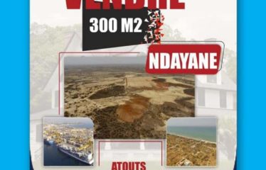 NDAYANE : Terrains à Vendre – Opportunité Rare près du Nouveau Port (2026) avec Notification de Bail