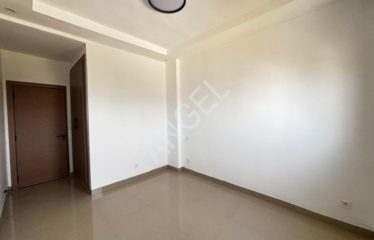 DIEUPPEUL DERKLE : Appartement F4  à louer à Dieuppeul