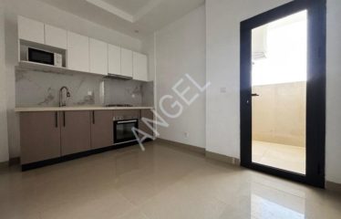 DIEUPPEUL DERKLE : Appartement F4  à louer à Dieuppeul