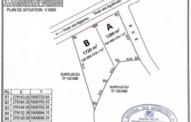 NGAPAROU : Terrains en bord de route à vendre: Parcelle A :1280m2, Parcelle B: 1720m2