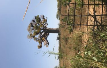 POPENGUINE SERERE : Terrain 8451 m2 a vendre