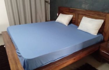 SALY : Villa contemporaine et sa dépendance avec piscine à vendre