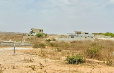 YENNE NDITAKH : Terrain à vendre 225m2