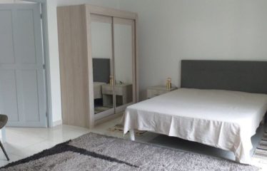 NGUERIGNE : Belle propriété de standing à vendre