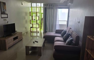 DAKAR ALMADIES : Bel appartement meublé 3 chambres salon à louer
