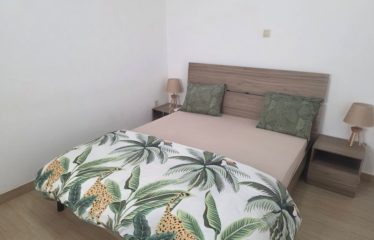 DAKAR ALMADIES : Bel appartement meublé 3 chambres salon à louer