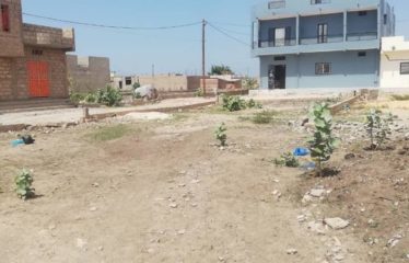 DIAMNIADIO : Terrains de 150m2  à vendre