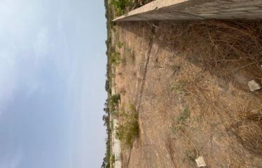 SALY : Terrain 1000 M2 à vendre proche Aérodrome Saly