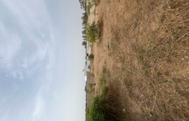 SALY : Terrain 1000 M2 à vendre proche Aérodrome Saly