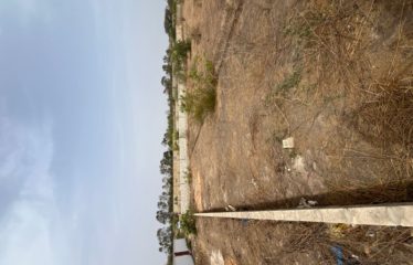 SALY : Terrain 1000 M2 à vendre proche Aérodrome Saly