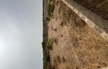 SALY : Terrain 1000 M2 à vendre proche Aérodrome Saly