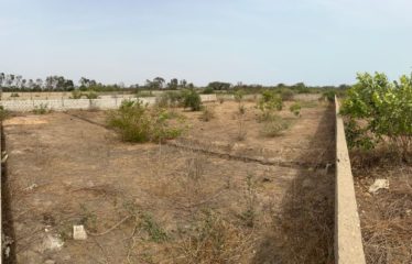 SALY : Terrain 1000 M2 à vendre proche Aérodrome Saly