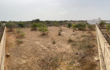 SALY : Terrain 1000 M2 à vendre proche Aérodrome Saly