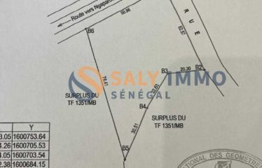 NGAPAROU : Terrain de 3000 m2 en Bordure de Route à vendre