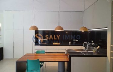 SOMONE : Villa Contemporaine Atypique à vendre