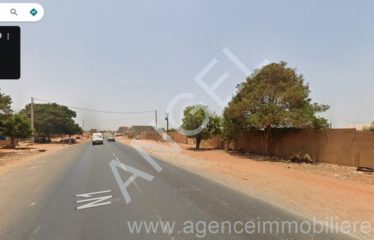 DIAMNIADIO : Terrain commercial à vendre à vendre sur la Nationale