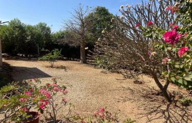 SOMONE : Villa indépendante à vendre aux Aigrettes