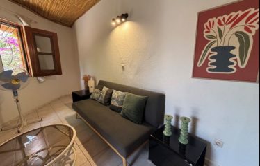SALY : Maison en résidence à vendre – Investissement