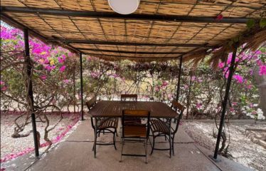 SALY : Maison en résidence à vendre – Investissement