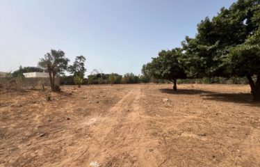 NGUERIGNE : Superbe terrain à vendre 1579 m2