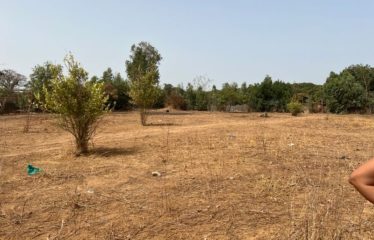 NGUERIGNE : Superbe terrain à vendre 1579 m2