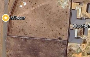 NGAPAROU : Magnifique terrain à vendre – proche de l’école Kalan