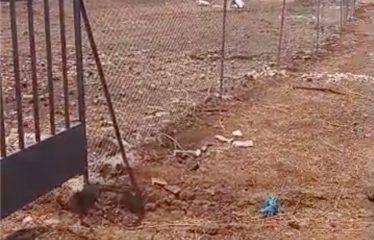NGAPAROU : Magnifique terrain à vendre – proche de l’école Kalan