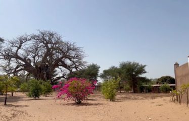 NGUERIGNE : Superbe terrain à vendre