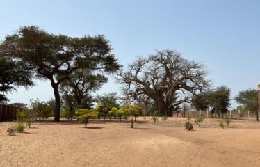 NGUERIGNE : Superbe terrain à vendre