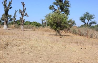 SANDIARA : Terrain d’exception à vendre