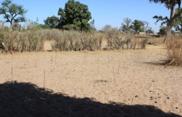 SANDIARA : Terrain d’exception à vendre