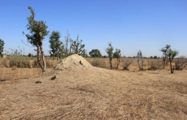 SANDIARA : Terrain d’exception à vendre