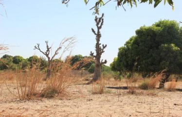 SANDIARA : Terrain d’exception à vendre