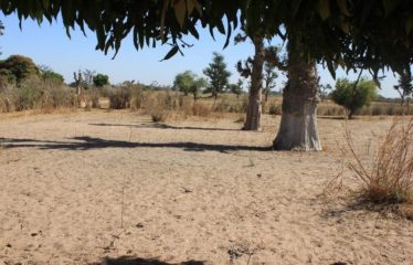 SANDIARA : Terrain d’exception à vendre