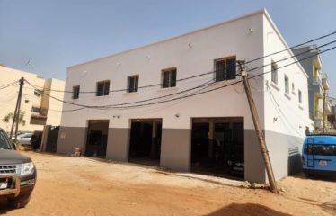 SALY : Maison et local commercial à vendre