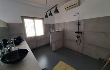 SALY : Maison et local commercial à vendre