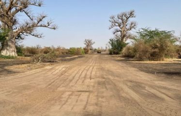 SINDIA : Terrain 24 Hectares à 50m de la route du péage à vendre