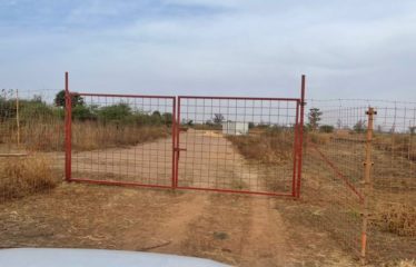 SINDIA : Terrain 24 Hectares à 50m de la route du péage à vendre