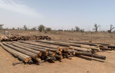 SINDIA : Terrain 24 Hectares à 50m de la route du péage à vendre