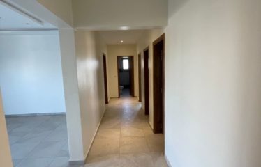 SALY : Appartement en location – Résidence LEILA