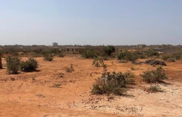 DIASS : Terrains de 200m2 à vendre vers Aéroport Diass