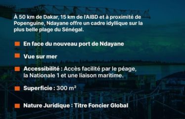 NDAYANE : Vente de Terrains 300 m2