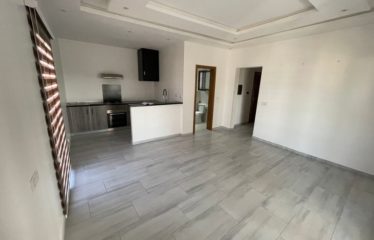 SALY : Appartement 2 chambres t bureau à louer